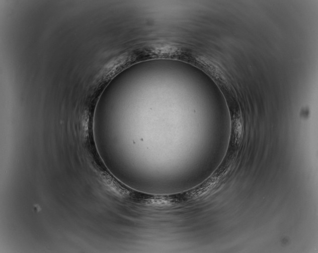 X0000098180668200804241223