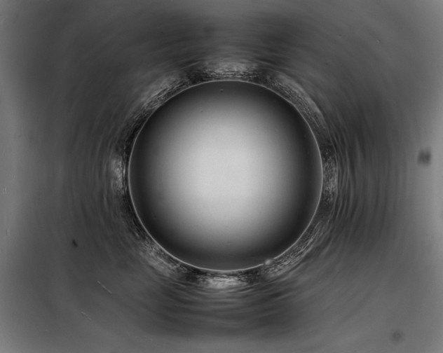 X0000098180669200804241223