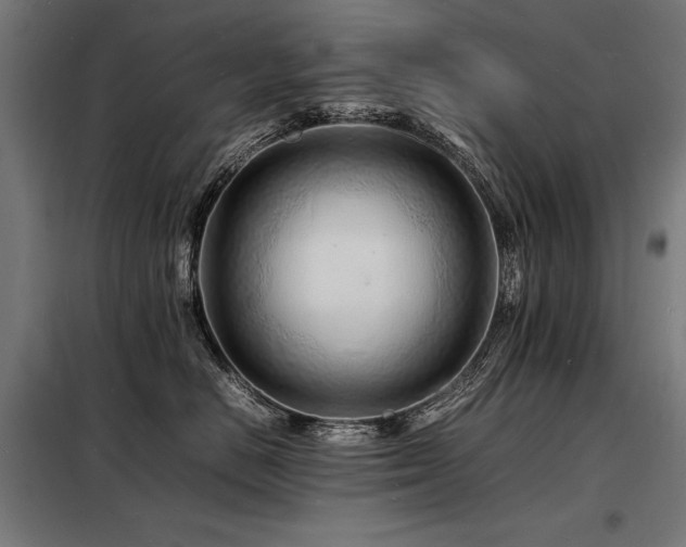X0000098180670200804241223