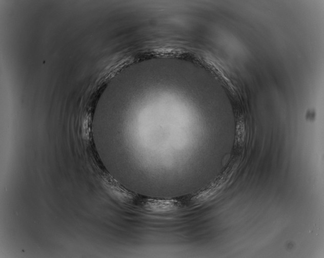 X0000098180671200804241223