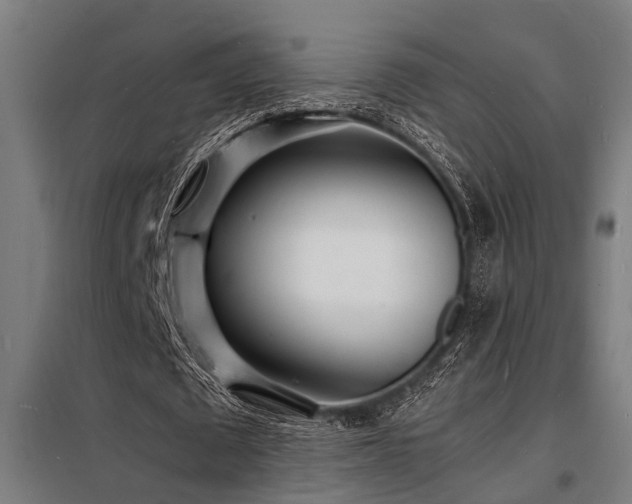 X0000098180673200804241222