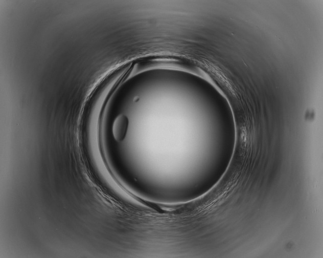 X0000098180676200804241222