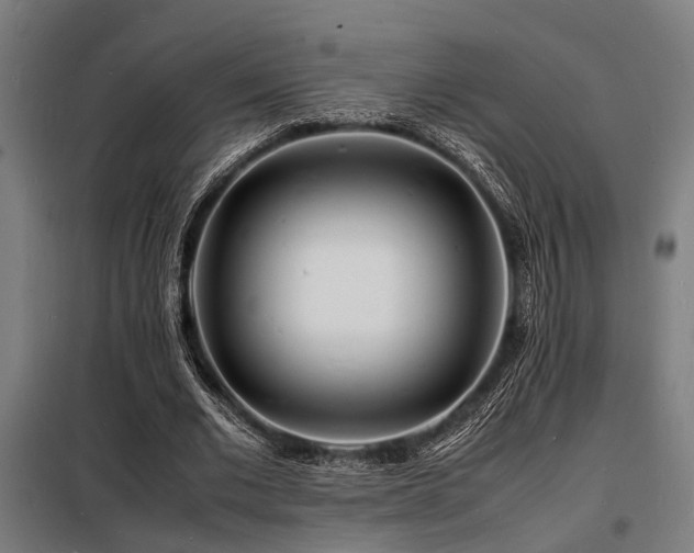 X0000098180677200804241222