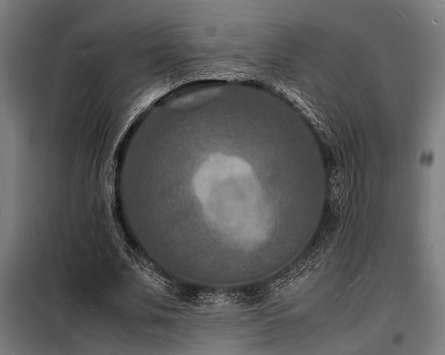 X0000098180679200804241222