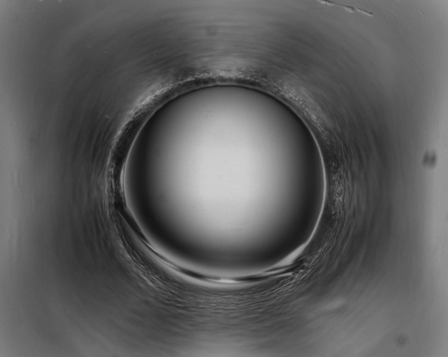 X0000098180680200804241222