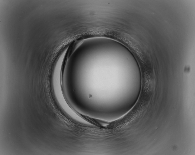X0000098180681200804241222
