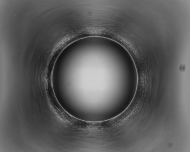 X0000098180682200804241222