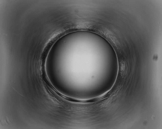 X0000098180684200804241222