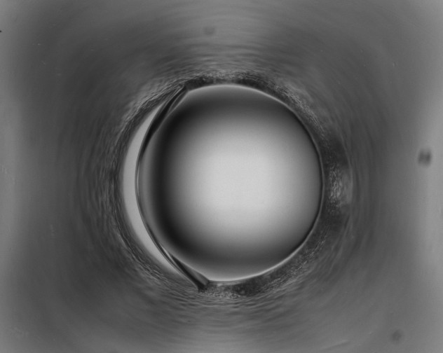 X0000098180685200804241222