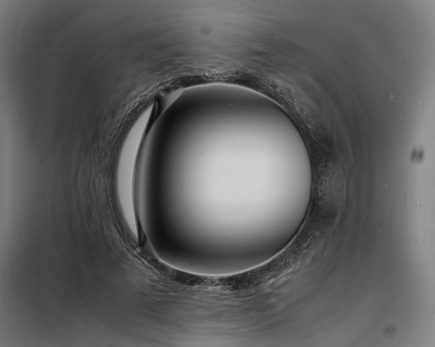 X0000098180689200804241222