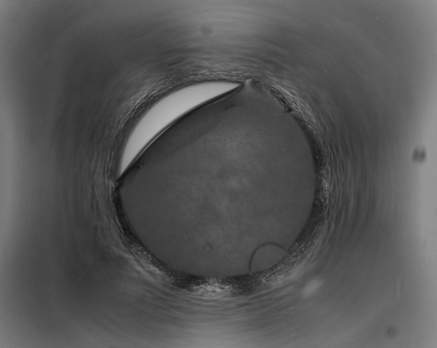 X0000098180691200804241222