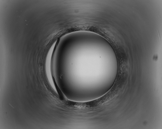 X0000098180693200804241222