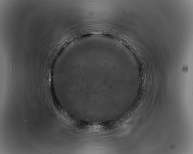 X0000098180695200804241222