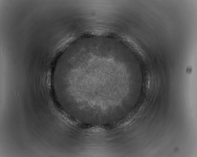 X0000098180696200804241222