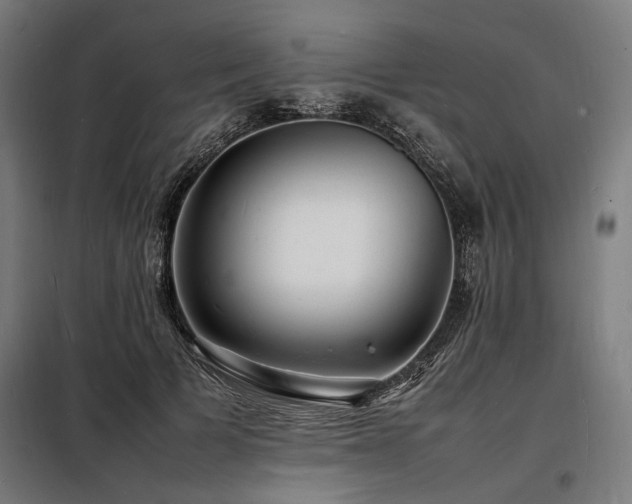 X0000098180697200804241222
