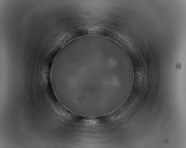 X0000098180698200804241222