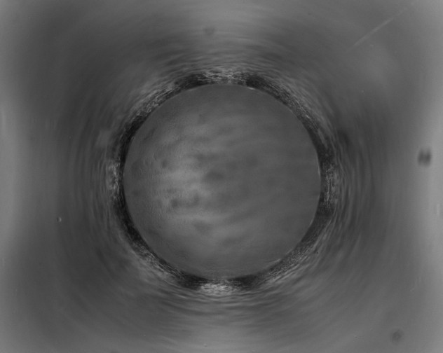 X0000098180699200804241222