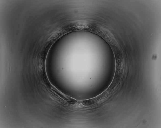 X0000098180704200804241222