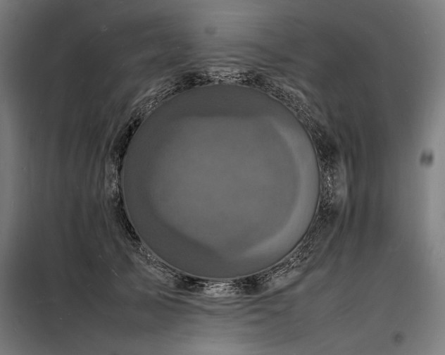 X0000098180705200804241222