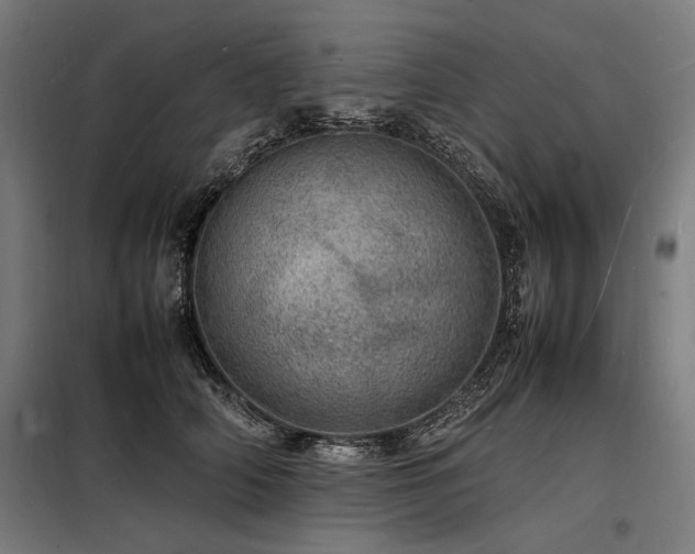 X0000098180706200804241222