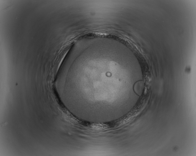 X0000098180707200804241222