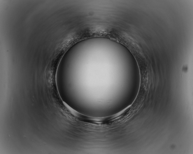 X0000098180708200804241222