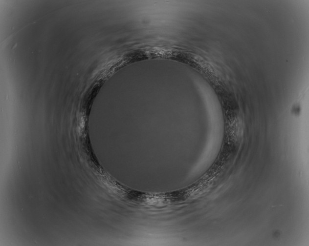 X0000098180709200804241221