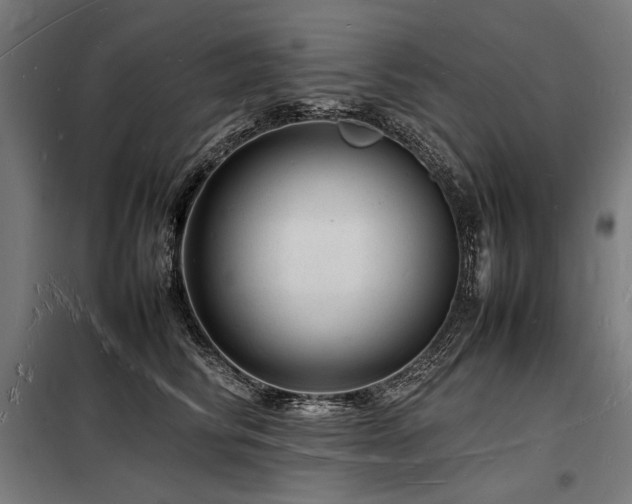 X0000098180710200804241221
