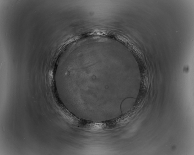 X0000098180711200804241221