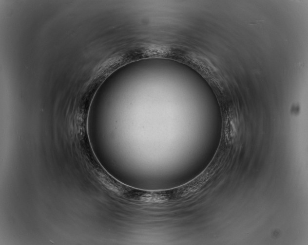 X0000098180714200804241221
