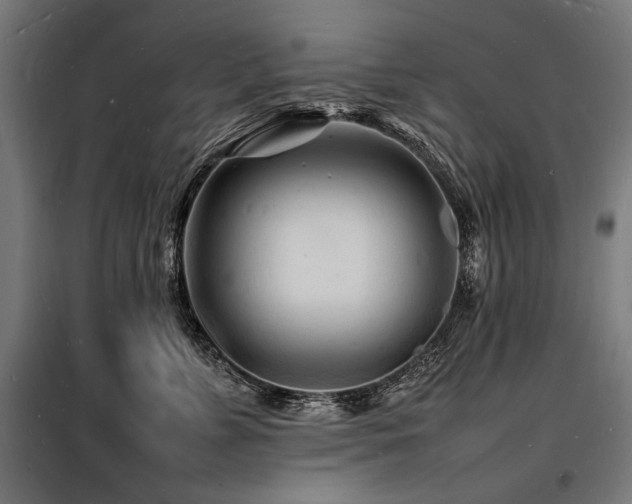 X0000098180715200804241221