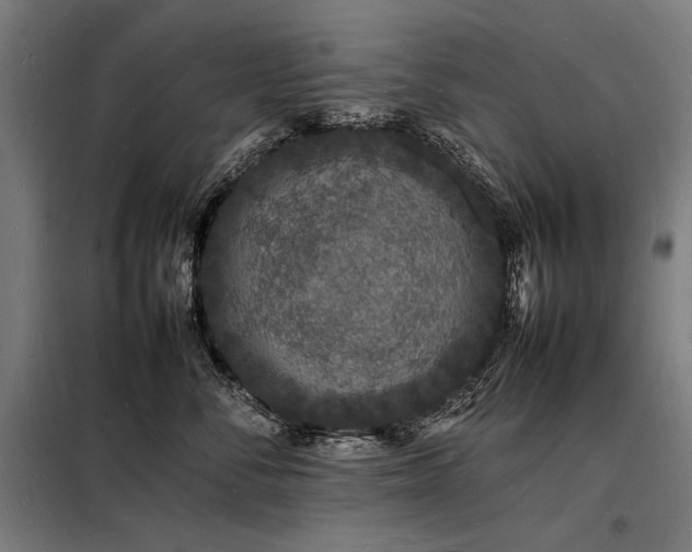 X0000098180716200804241221