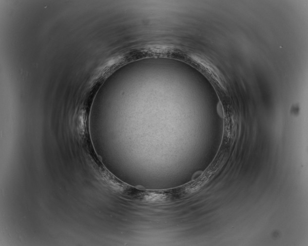 X0000098180718200804241221