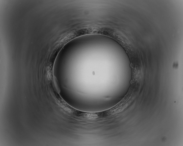 X0000098180719200804241221