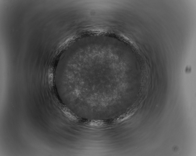 X0000098180720200804241221