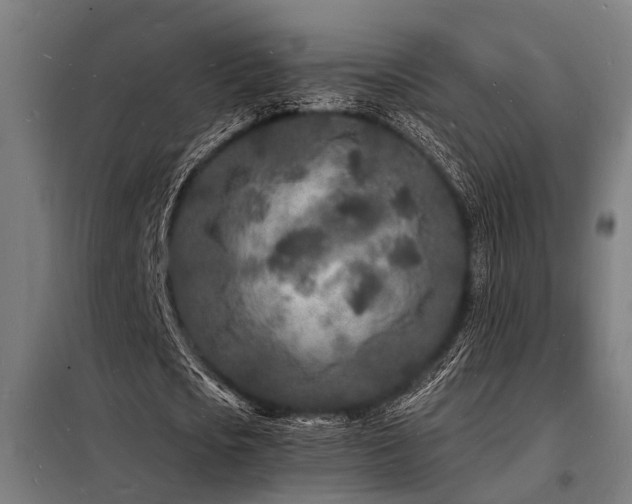 X0000098180721200804241221