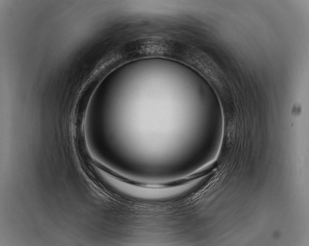 X0000098180722200804241221