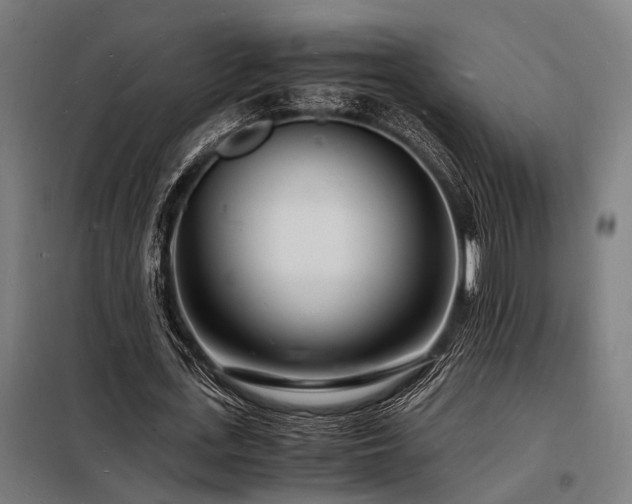 X0000098180723200804241221