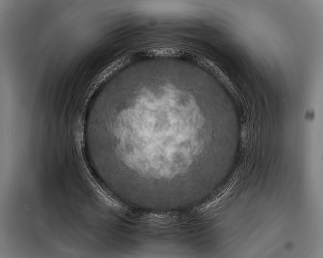 X0000098180725200804241221