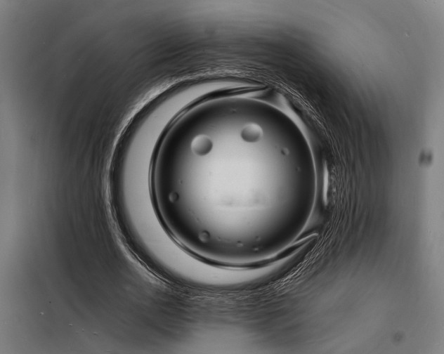 X0000098180726200804241221