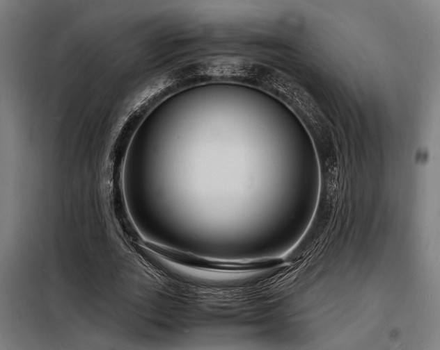 X0000098180727200804241221