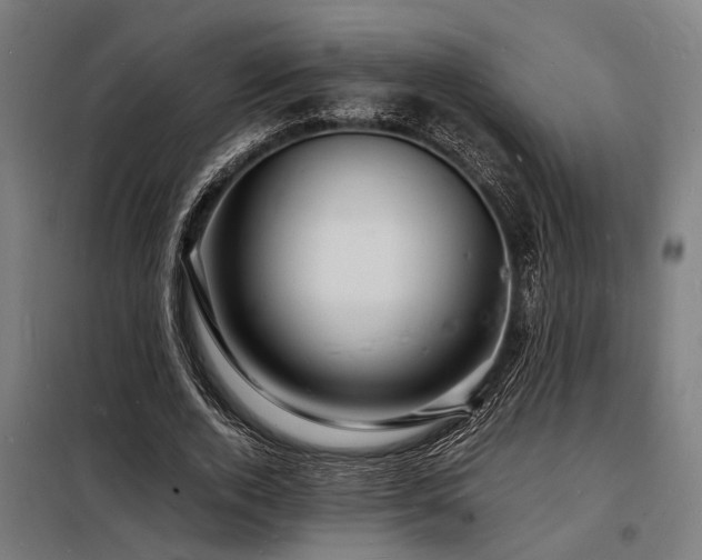 X0000098180728200804241221
