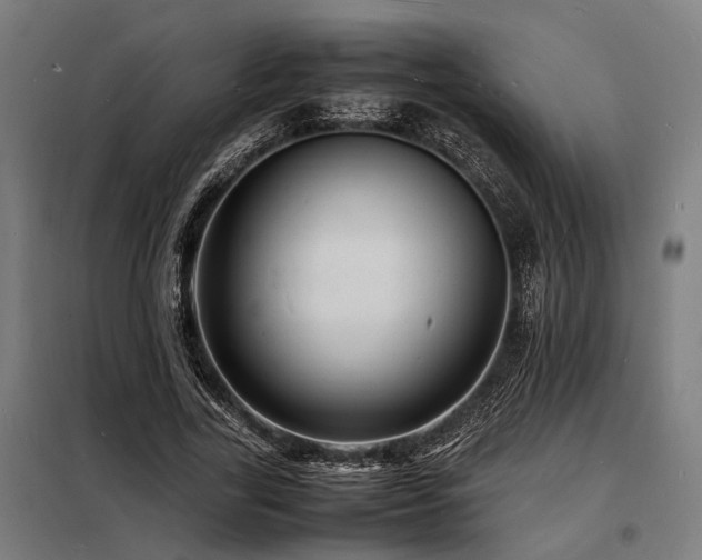 X0000098180731200804241221