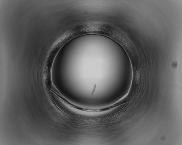 X0000098180732200804241221