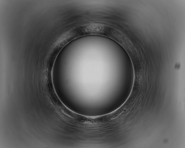 X0000098180735200804241221