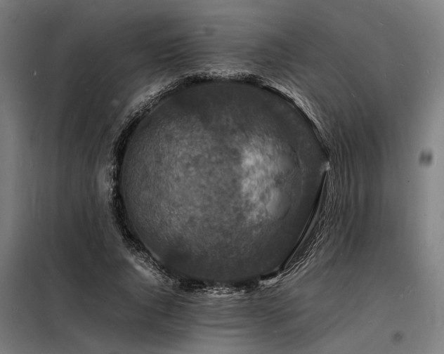 X0000098180736200804241221