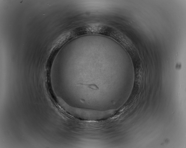 X0000098180738200804241221