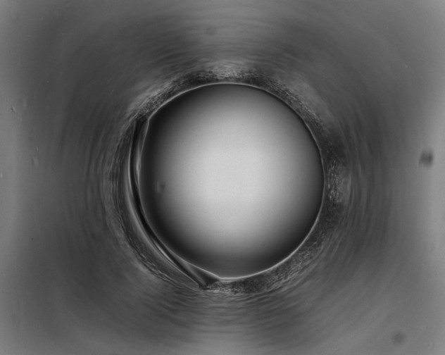 X0000098180740200804241221