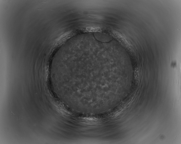 X0000098180741200804241221