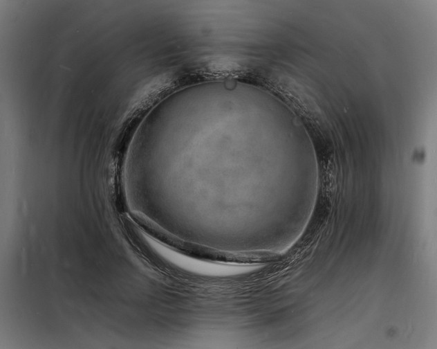 X0000098180742200804241221